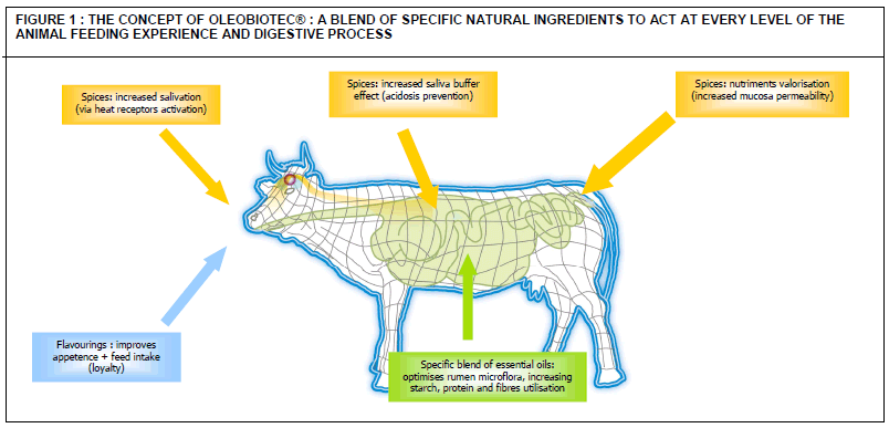 Bio Regulation: A natural approach - Image 2