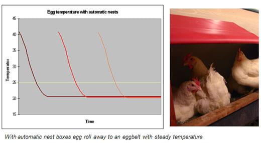 The advantages of automatic hatching egg collection - Image 7