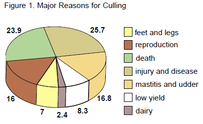 Cow Longevity - Image 1