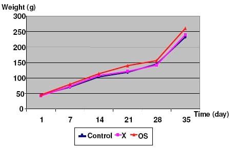 Orego-Stim boosts layer performance - Image 1