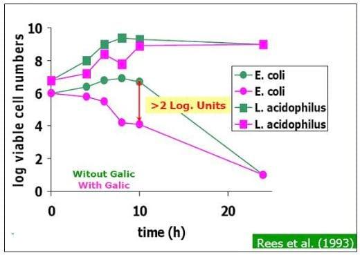 Herbs versus Drugs: Aspect World Poultry - Image 1