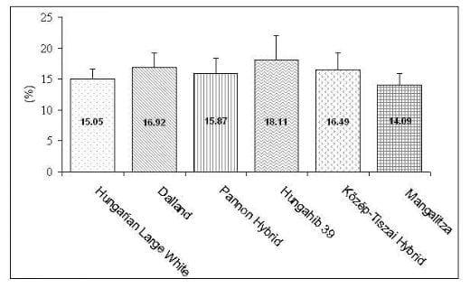 Genotype effect on the palatability of the pork loin - Image 2