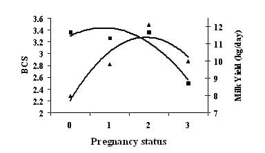 Variation in milk composition and its relationship with physiological states and management in crossbred cattle under tropical conditions - Image 6