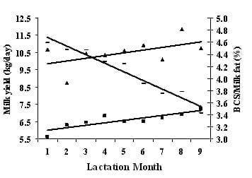 Variation in milk composition and its relationship with physiological states and management in crossbred cattle under tropical conditions - Image 7