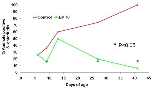 Control of Salmonella and other pathogens in broilers – the importance of a coherent approach - Image 5