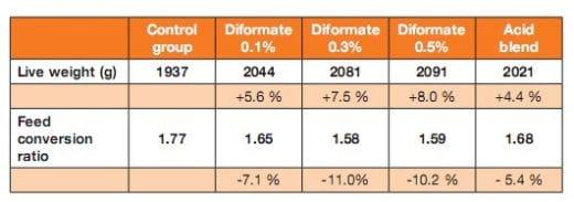 Performance enhancement through the use of diformates in broiler - Image 1