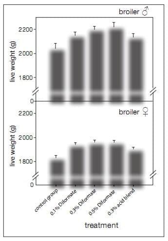 Performance enhancement through the use of diformates in broiler - Image 2