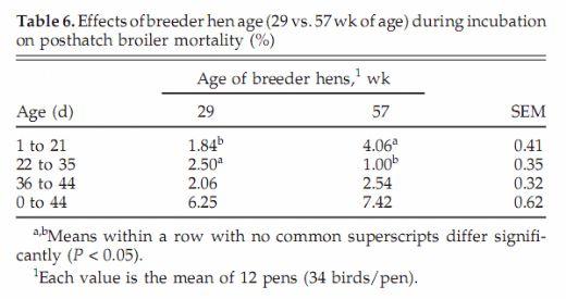 Influence of Egg Shell Embryonic Incubation Temperature and Broiler Breeder Flock Ageon Posthatch Growth Performance and Carcass Characteristics - Image 6