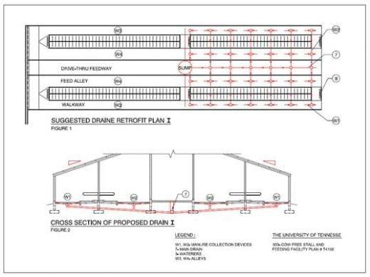 Modern Dairy Cow Housing Design Manure Management Technology - Image 1