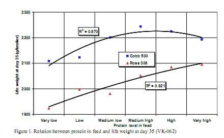 Developments and innovations in broiler nutrition in the Netherlands - Image 2