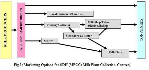 Small Dairy Holder Milk Marketing Model: A case Study in Pakistan - Image 1