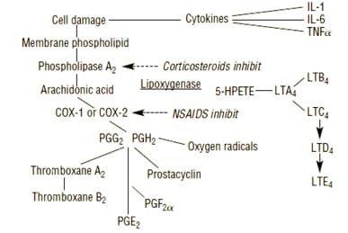 NSAIDs - Image 2