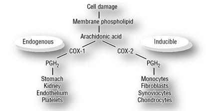 NSAIDs - Image 3