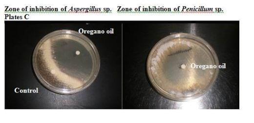 Available solutions for mycotoxin binding - Image 3