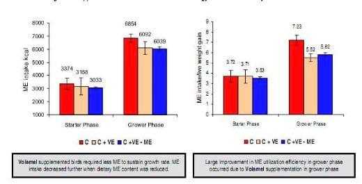 Nutritional emulsifiers sustains performance of broiler fed a low-energy diet – a new approach to alleviate tropical heat stress - Image 4