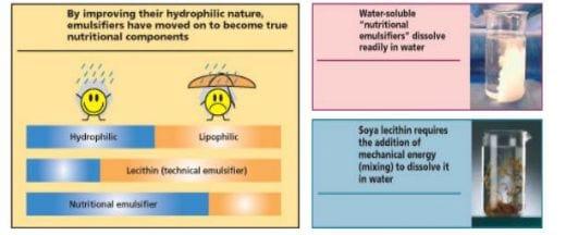 Nutritional emulsifiers sustains performance of broiler fed a low-energy diet – a new approach to alleviate tropical heat stress - Image 2