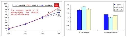 Chromium picolinate can improve growth and feed efficiency in heat-stressed broilers - Image 2