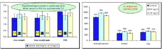 Chromium picolinate can improve growth and feed efficiency in heat-stressed broilers - Image 1