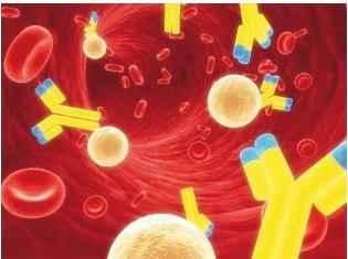 Modulation of Immune Function via Nutrition - Image 1