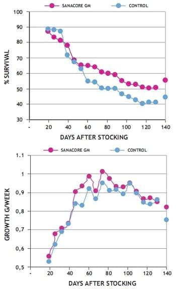 Phytobiotics as natural growth promoter - Image 7