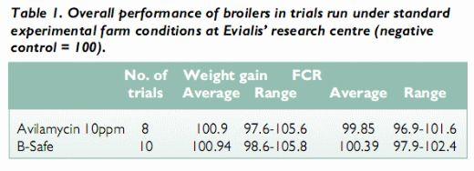Practical Testing of Poultry Feeds Under Commercial Conditions - Image 1