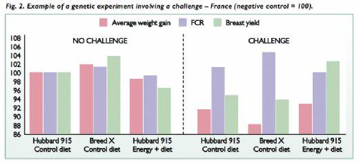 Practical Testing of Poultry Feeds Under Commercial Conditions - Image 3