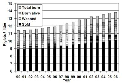 Management of High Prolificacy in French Herds: Can We Alleviate Side Effects on Piglet Survival? - Image 1