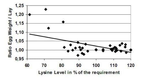 Reevaluation of Amino Acid Requirements for Laying Hens: Lysine Requirements - Image 9