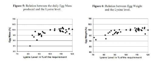 Reevaluation of Amino Acid Requirements for Laying Hens: Lysine Requirements - Image 7