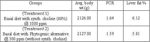 Replacement of Synthetic Choline in Poultry Diet - The Phytogenic Way - Image 1