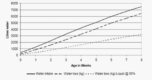 Strategies to Manage Wet Litter - Image 1