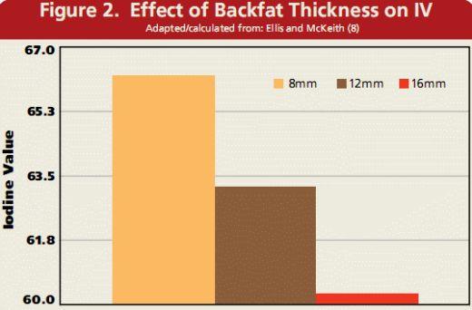 Pork Fat Quality - Image 4