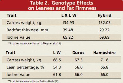 Pork Fat Quality - Image 3