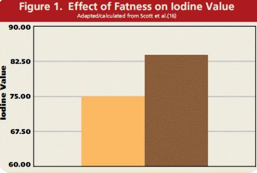 Pork Fat Quality - Image 2