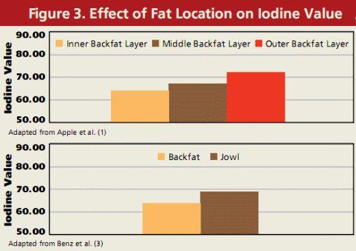 Pork Fat Quality - Image 6