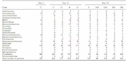  Effects of Antibiotics and Oil on Microbial Profiles and Fermentation - Image 5