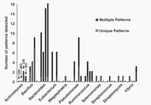  Effects of Antibiotics and Oil on Microbial Profiles and Fermentation - Image 11