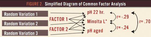 Common Factors that Determine Pork Quality - Image 2