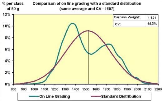 Evaluating Uniformity in Broilers - Factors Affecting Variation - Image 5