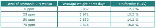 Evaluating Uniformity in Broilers - Factors Affecting Variation - Image 7