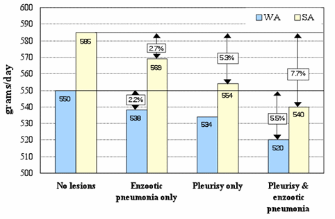 After PMWS- Feeding the High Health Status Farm - Image 5