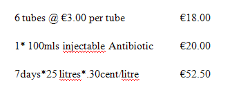 Overcoming Mastitis - Image 3