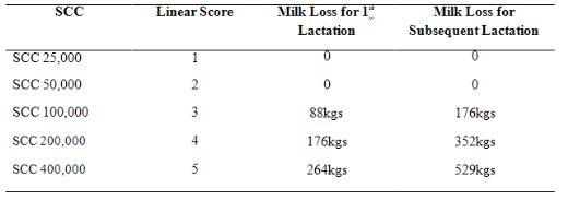 Overcoming Mastitis - Image 1