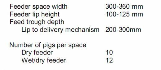 Understanding Feeders and Drinkers for Grow-Finish Pigs - Image 1