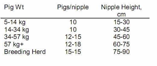 Understanding Feeders and Drinkers for Grow-Finish Pigs - Image 3