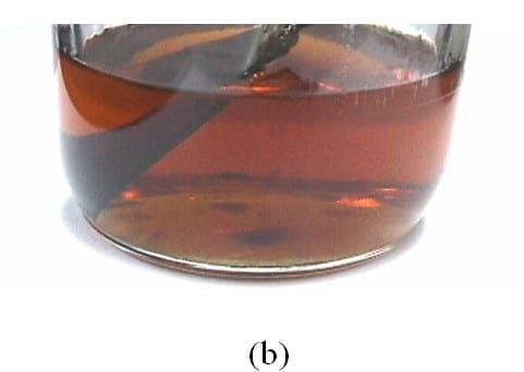 Protection of Feed and Grain from Mould Contamination - Image 5
