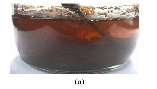 Protection of Feed and Grain from Mould Contamination - Image 4