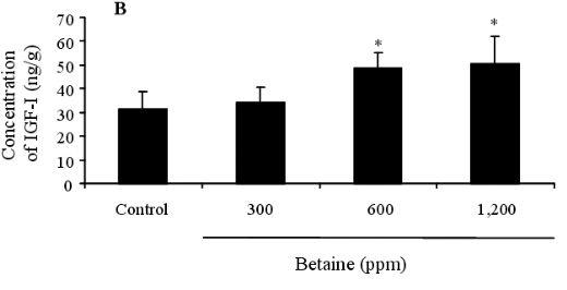 Effects of Dietary Betaine on the Secretion of Insulin-like Growth Factor-I and Insulin-like Growth Factor Binding Protein-1 and -3 in Laying Hens - Image 3