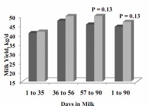 Chromium Supplementation in Cattle Diets - Image 6