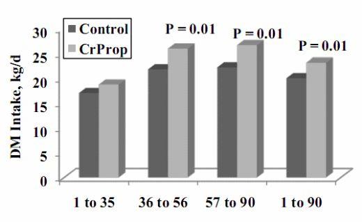 Chromium Supplementation in Cattle Diets - Image 5